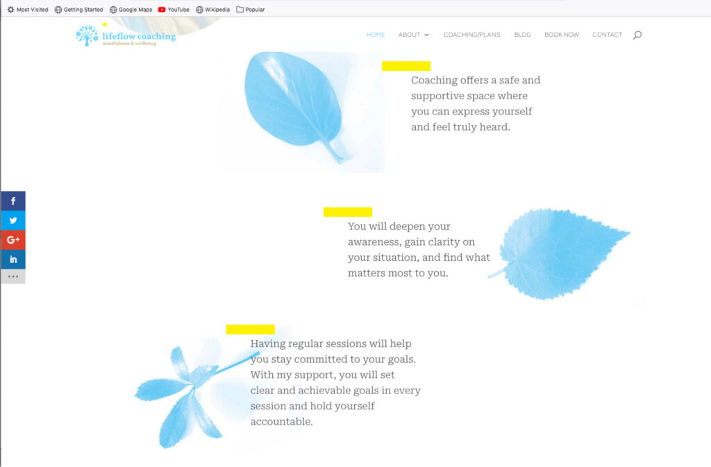 Lifeflowcoaching update 20254