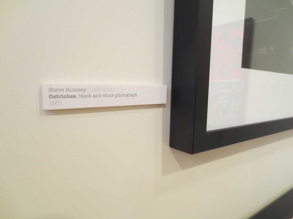 Barry-Brickkell_7010