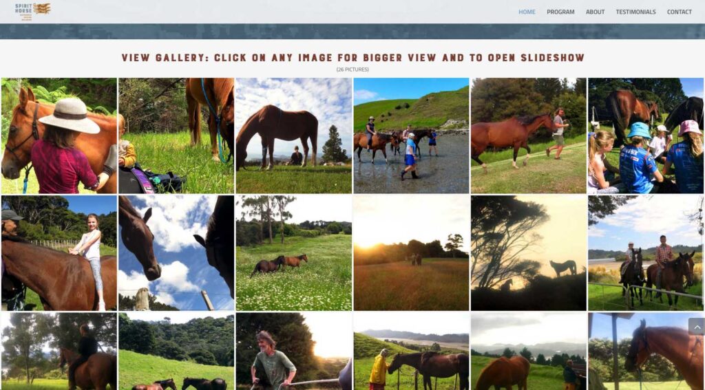 spirithorse-web-gallery