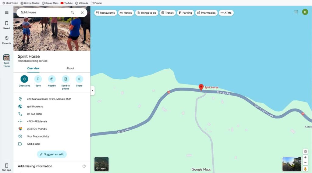 spirithorse-web-google-maps