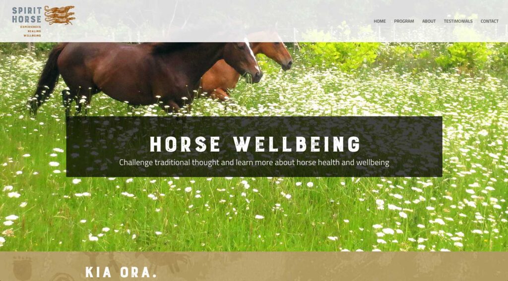 spirithorse-web-horse-wellbeing