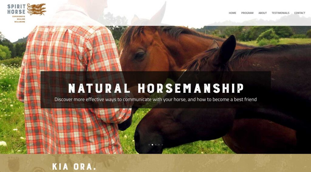 spirithorse-web-natural-horsemanship