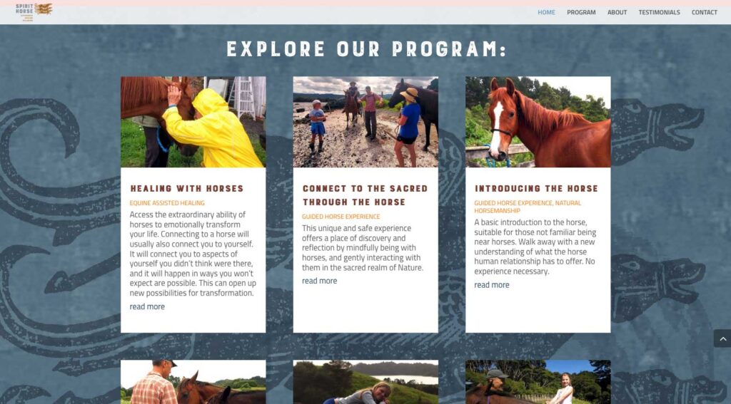 spirithorse-web-program